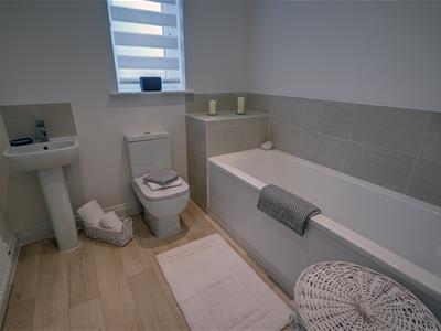 Picture 5